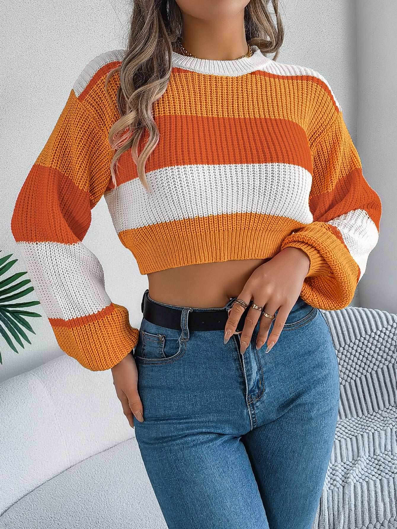 Colorblock Lantern Sleeve Crop Pullover Sweater