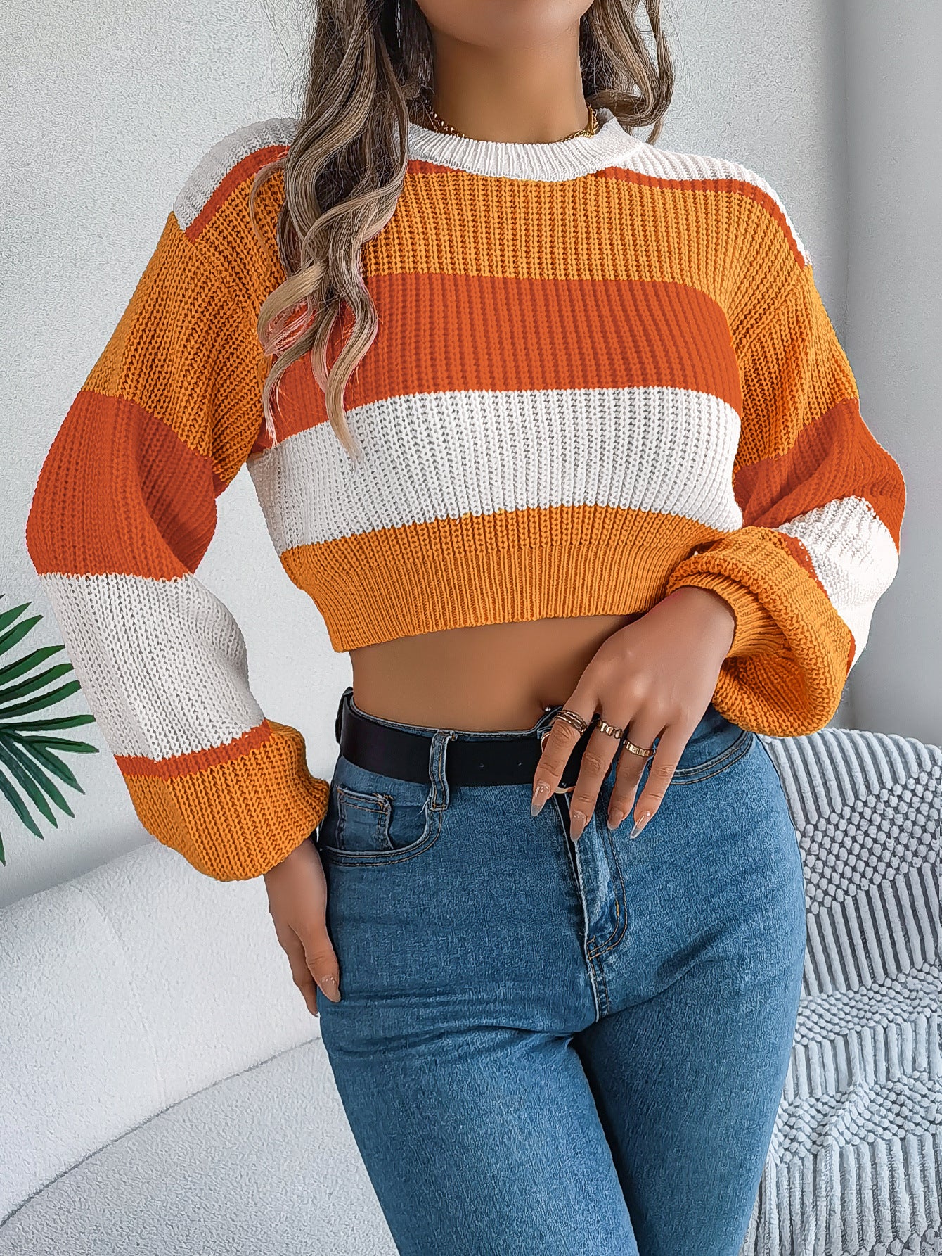 Colorblock Lantern Sleeve Crop Pullovers Sweater