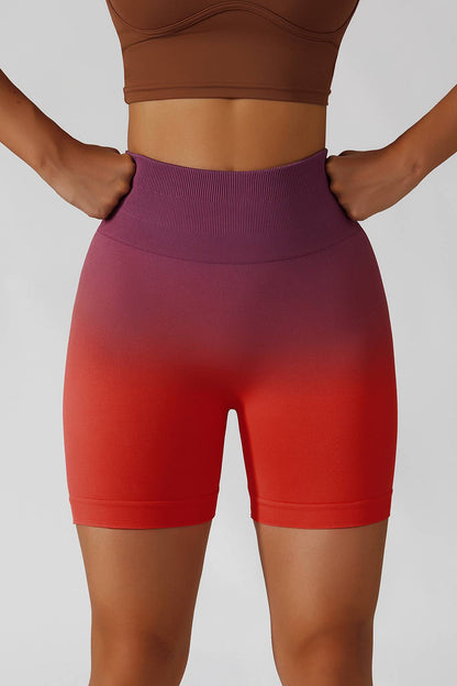 Ombre Seamless Scrunch Butt Shorts