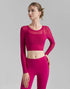 Mesh Long Sleeve Crop Tops V-shaped Cutout Back Yoga T-Shirt