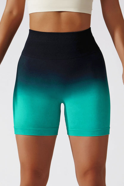 Ombre Seamless Scrunch Butt Shorts